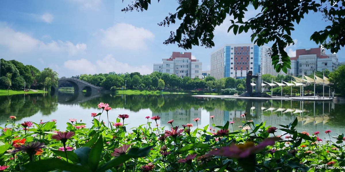 碧水繁花.jpg
